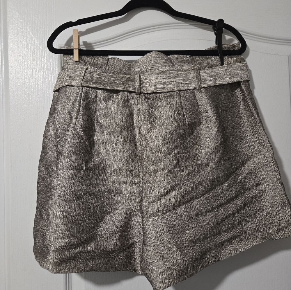EXPRESS Metallic Set - Picture 3 of 4